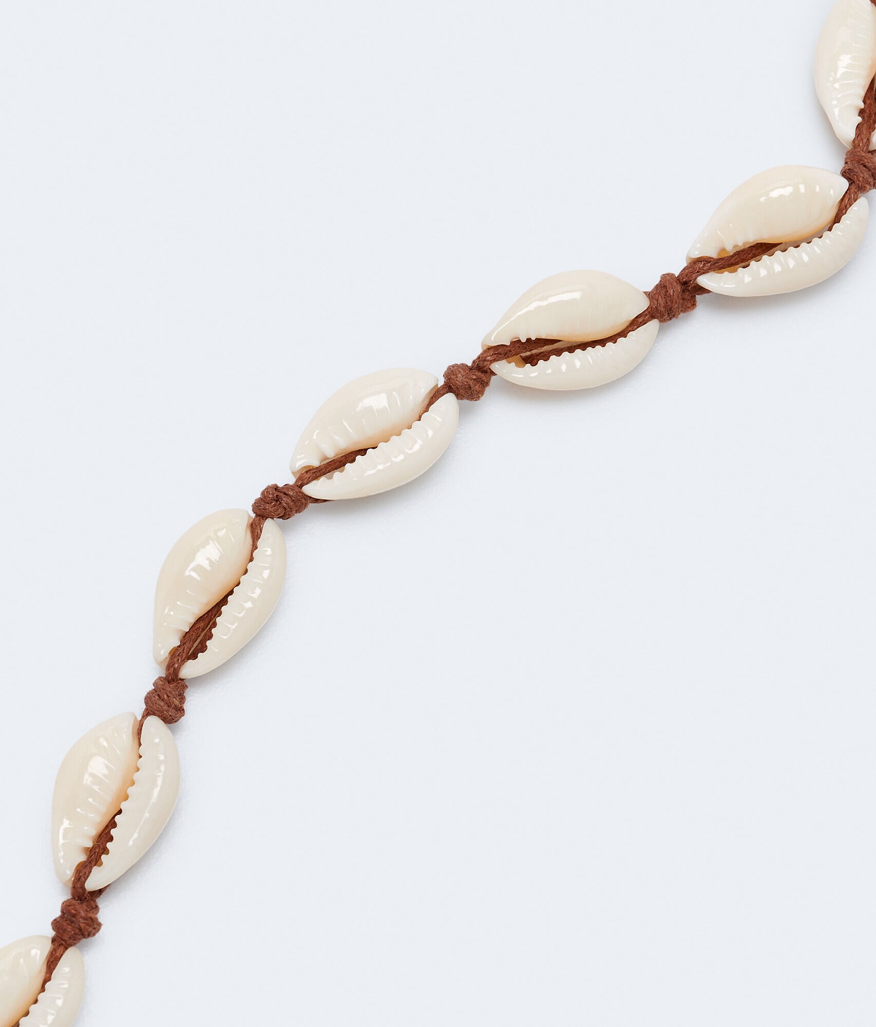 Puka Shell Choker Necklace