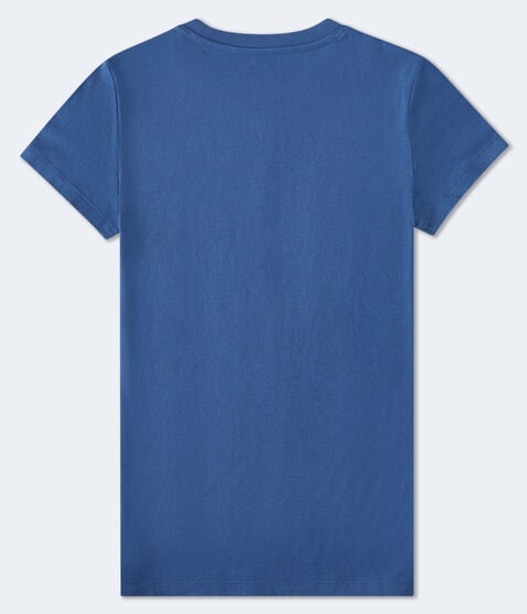 Aeropostale Palm Tree Graphic Tee