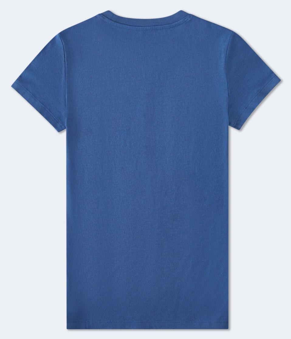 Aeropostale Palm Tree Graphic Tee