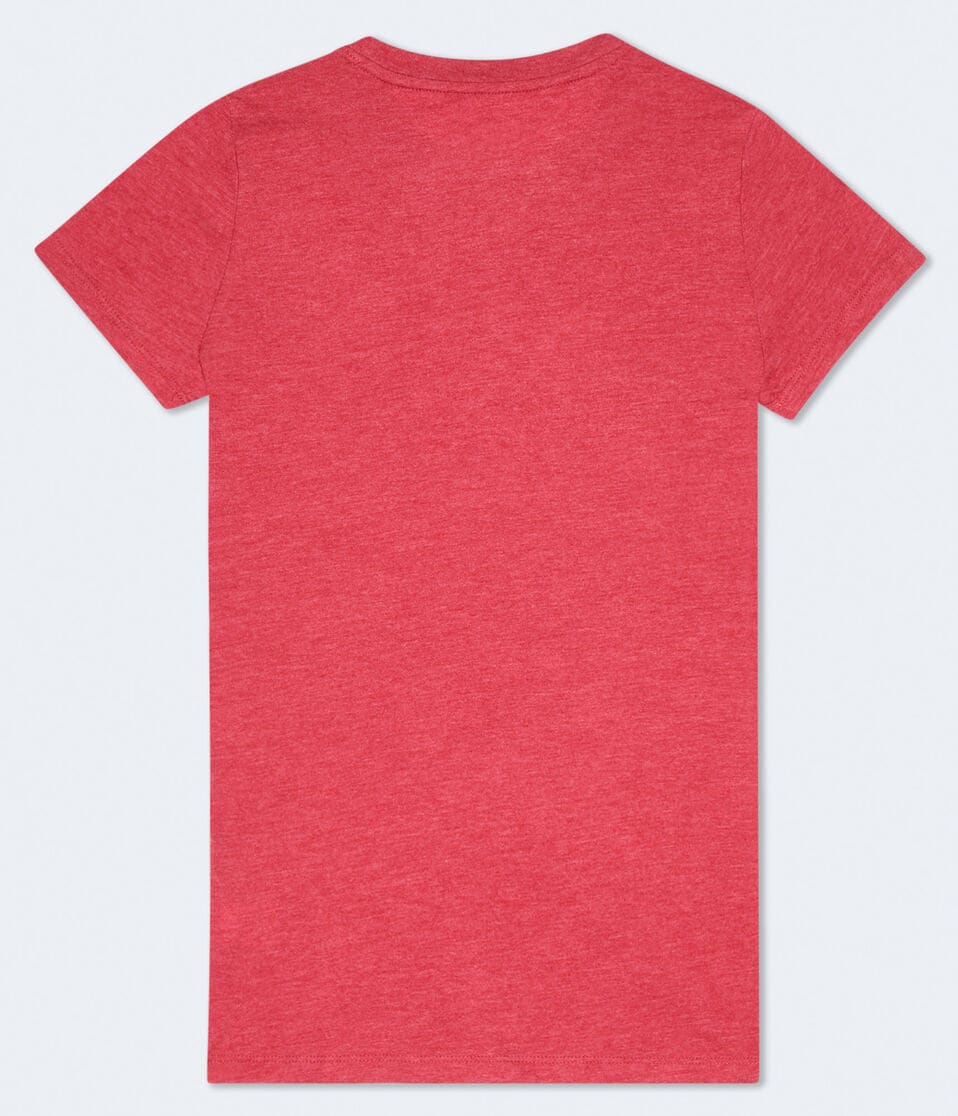Aeropostale Butterfly Laurels Foil Graphic Tee