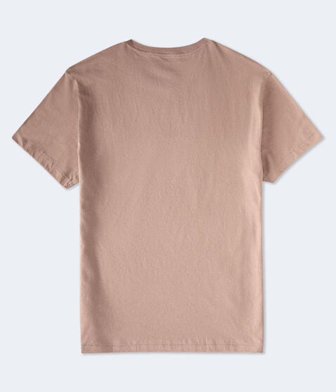 Aeropostale Athletic Brand Flocked Graphic Tee