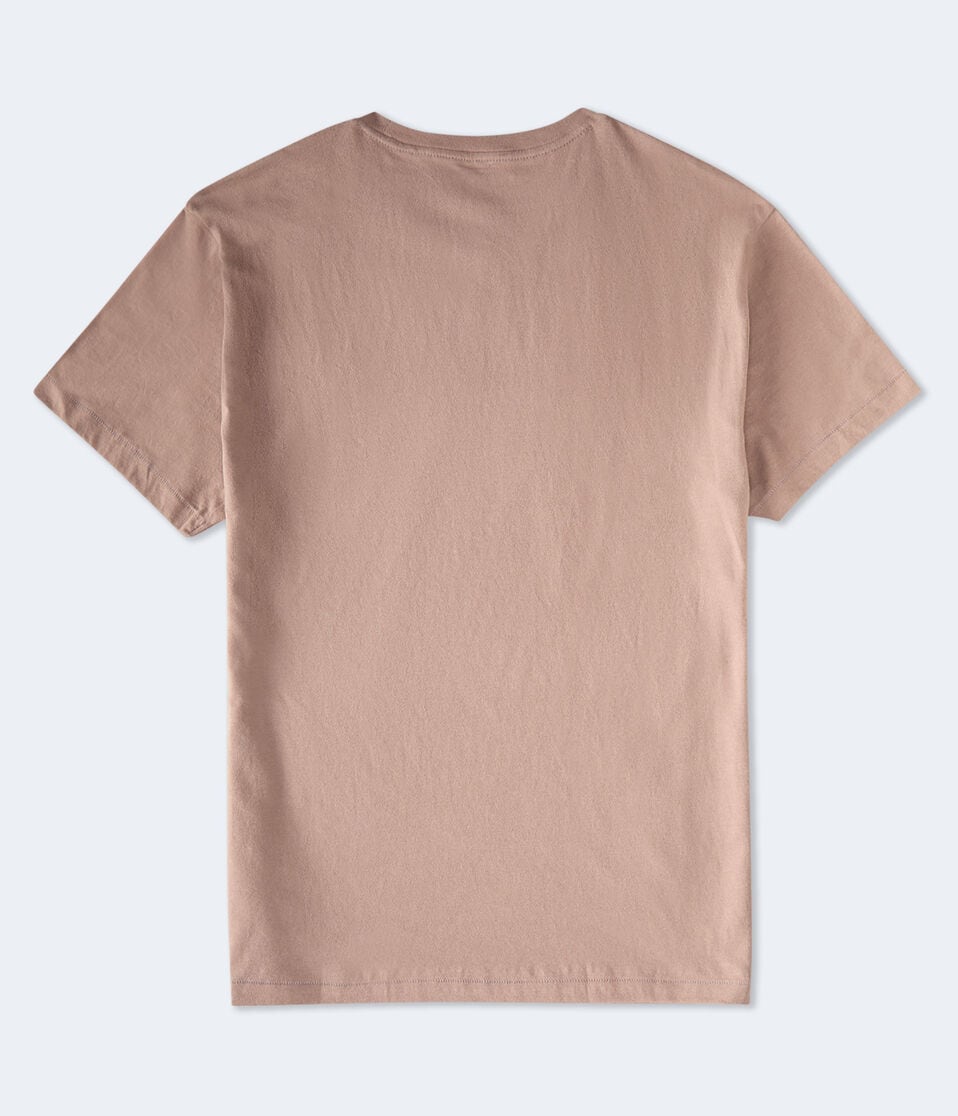 Aeropostale Athletic Brand Flocked Graphic Tee