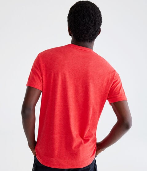 Aeropostale Circle Logo Graphic Tee