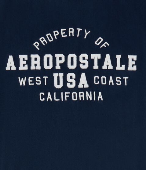 Aeropostale Usa Appliqué Graphic Tee by Aeropostale