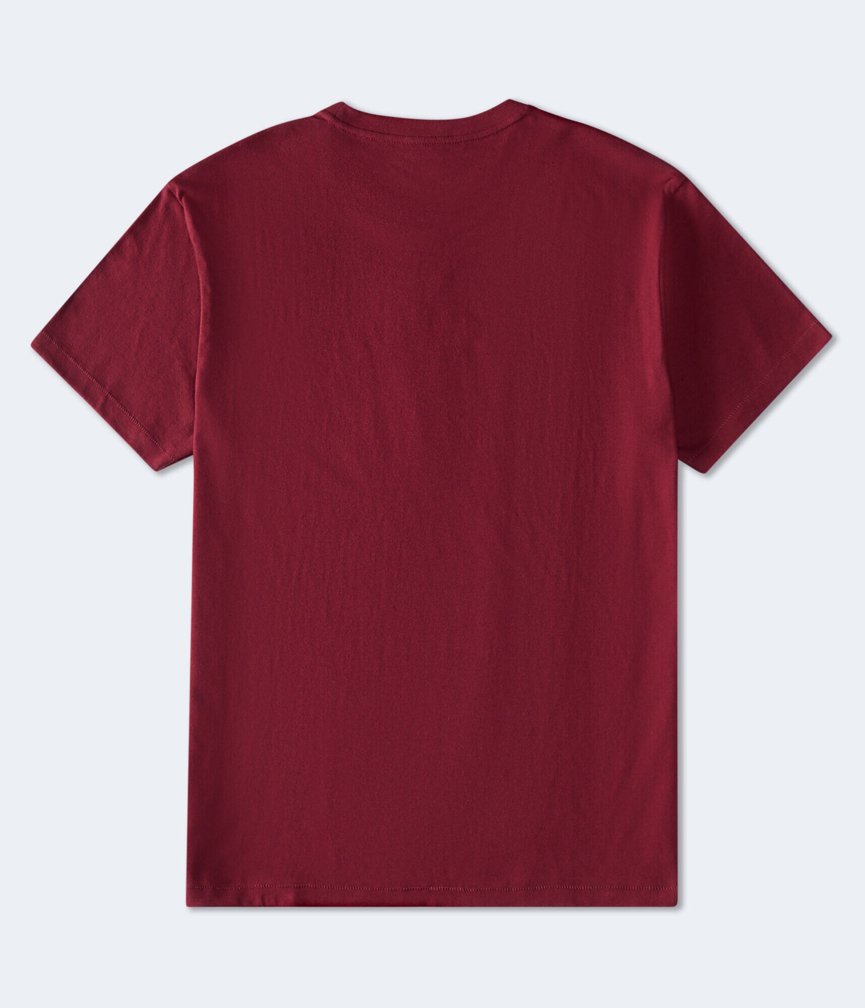 Aeropostale 87 Circle Graphic Tee