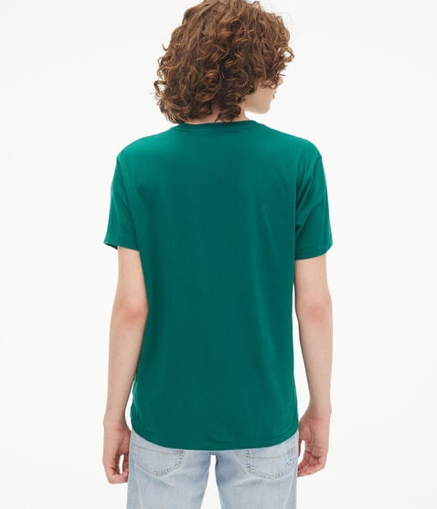 New York Aeropostale Logo Appliqué Graphic Tee