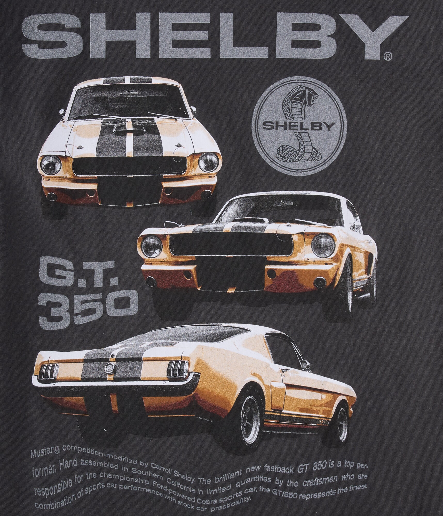 Shelby GT 350 Relaxed Graphic Tee