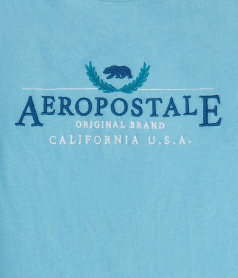Aeropostale California Bear Graphic Tee Aeropostale California Bear Graphic Tee