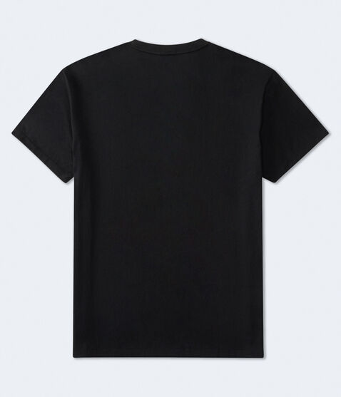 Aeropostale USA Logo Graphic Tee