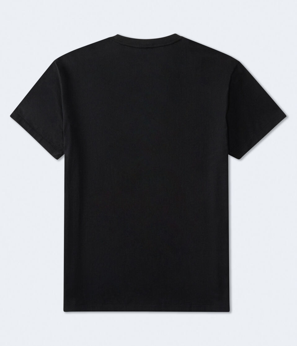 Aeropostale USA Logo Graphic Tee