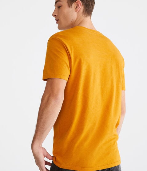 Aeropostale Los Angeles Palms Graphic Tee