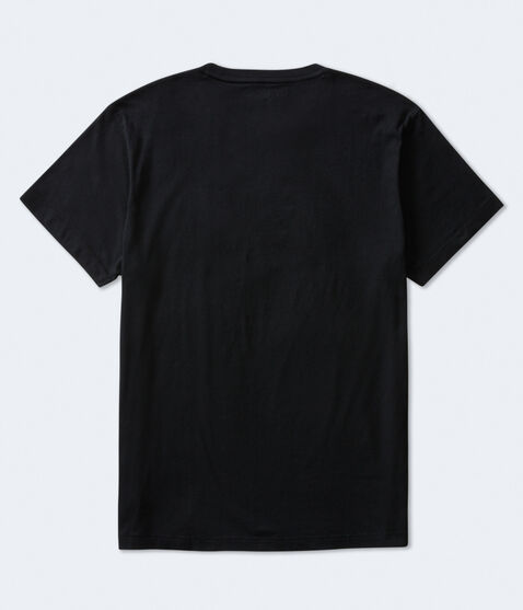 Aero87 Palm Tree Box Logo Graphic Tee