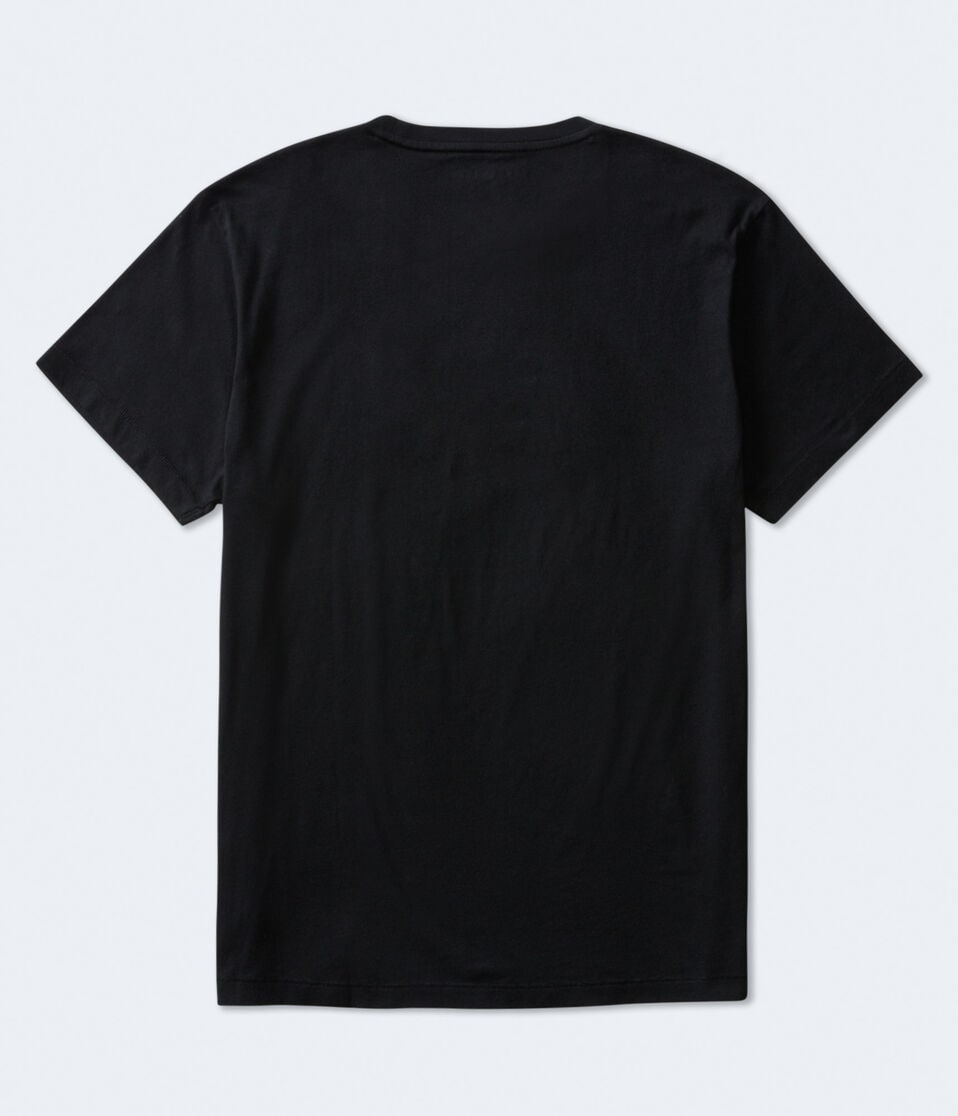 Aero87 Palm Tree Box Logo Graphic Tee