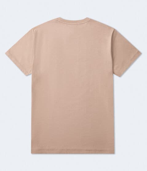 Aeropostale Laurel Circle Flocked Graphic Tee Aeropostale Laurel Circle Flocked Graphic Tee