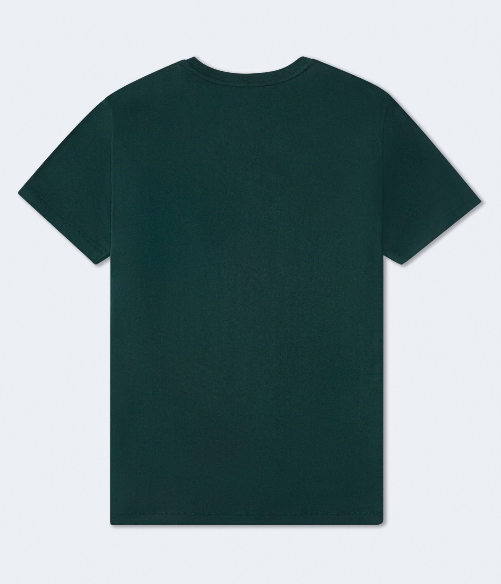 Aeropostale Ducks Appliqu&eacute; Graphic Tee