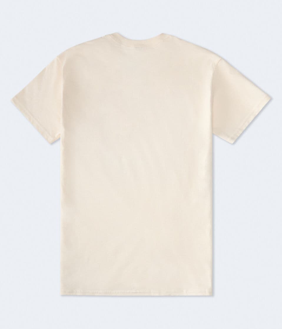 Wicked Glinda Oversized Graphic Tee