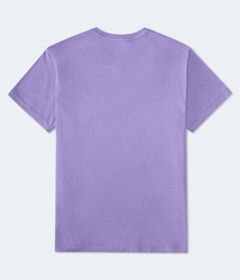 Aero California Appliqué Graphic Tee Aero California Appliqué Graphic Tee