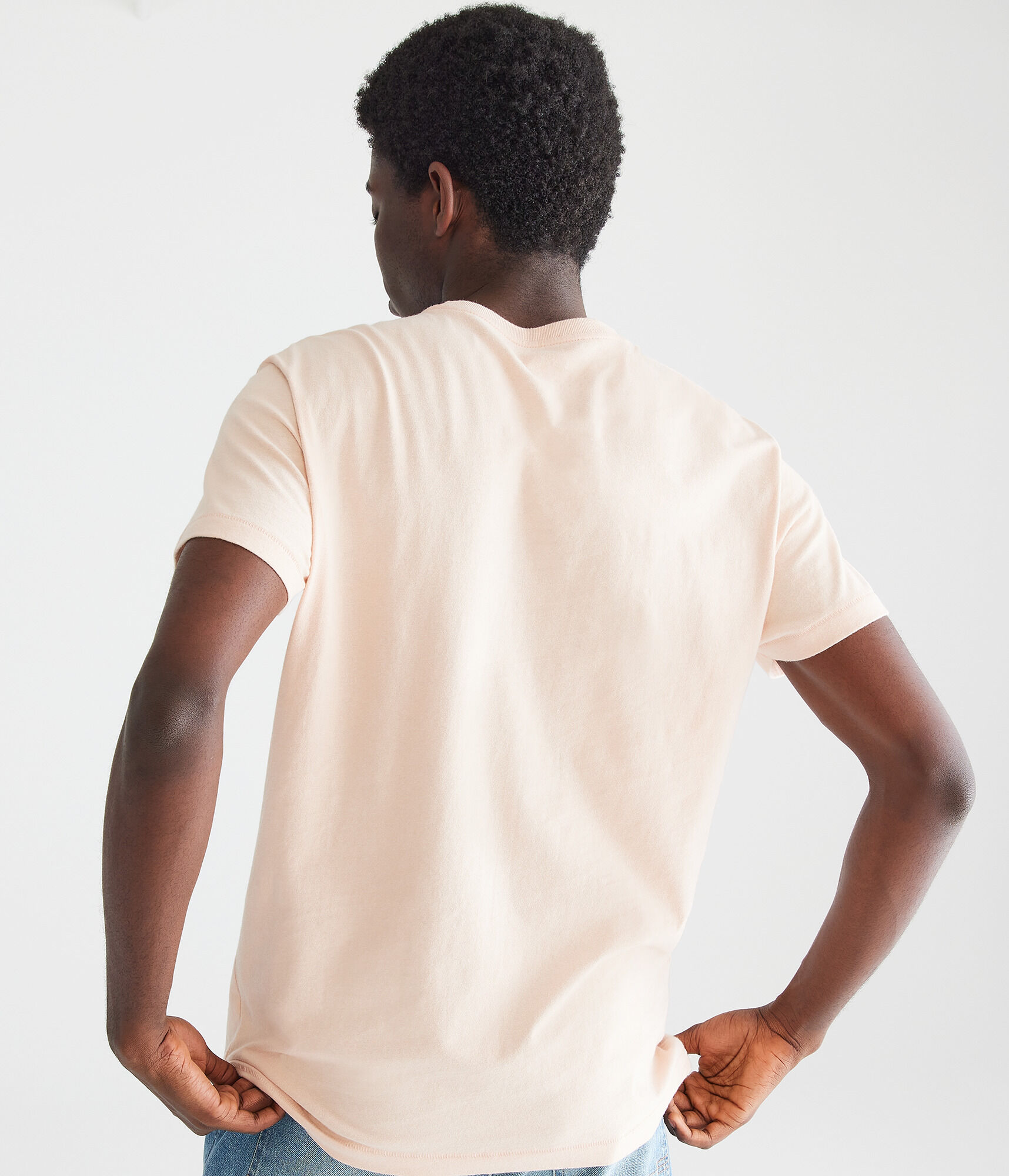 Aeropostale Nature Logo Graphic Tee