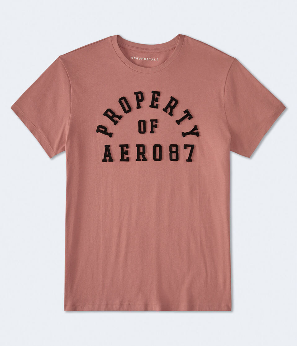 Property Of Aero Appliqué Graphic Tee