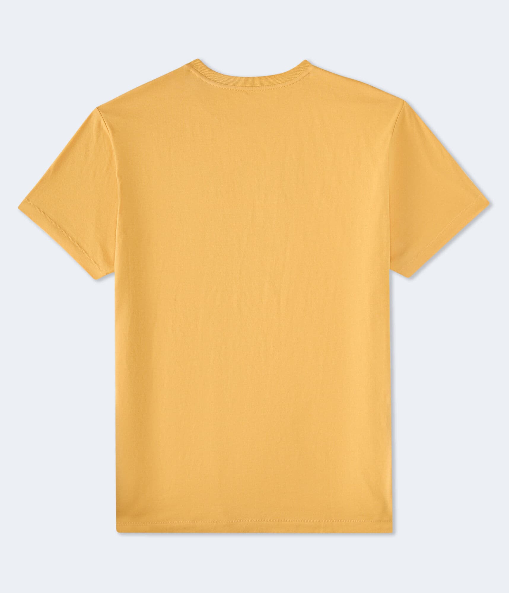 Aero NYC Oval Graphic Tee
