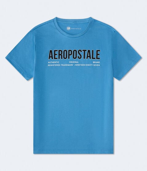 Aeropostale Authentic Logo Flocked Graphic Tee Aeropostale Authentic Logo Flocked Graphic Tee