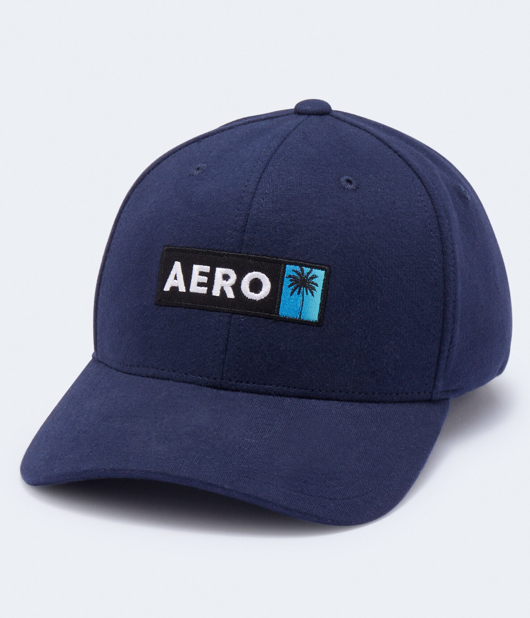 Aero Palm Tree Box Logo Fitted Hat