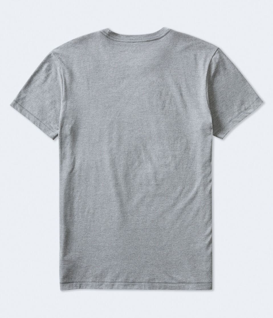 Aeropostale Arch Flocked Graphic Tee