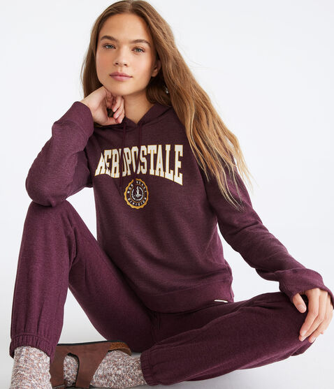 Aeropostale Northeast Crest Pullover Hoodie Aeropostale Northeast Crest Pullover Hoodie