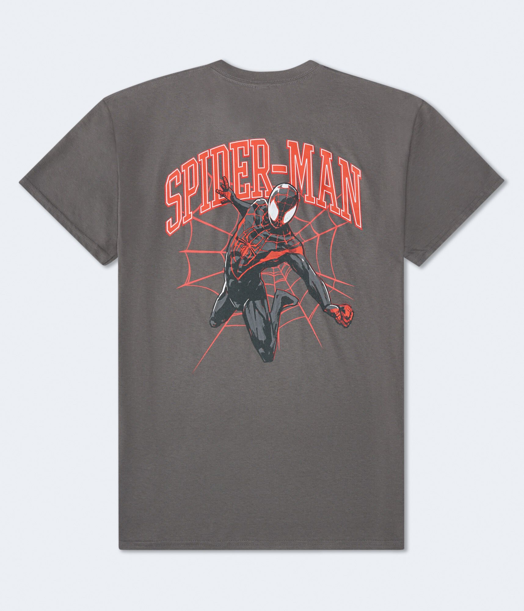 Spider-Man Web Relaxed Graphic Tee