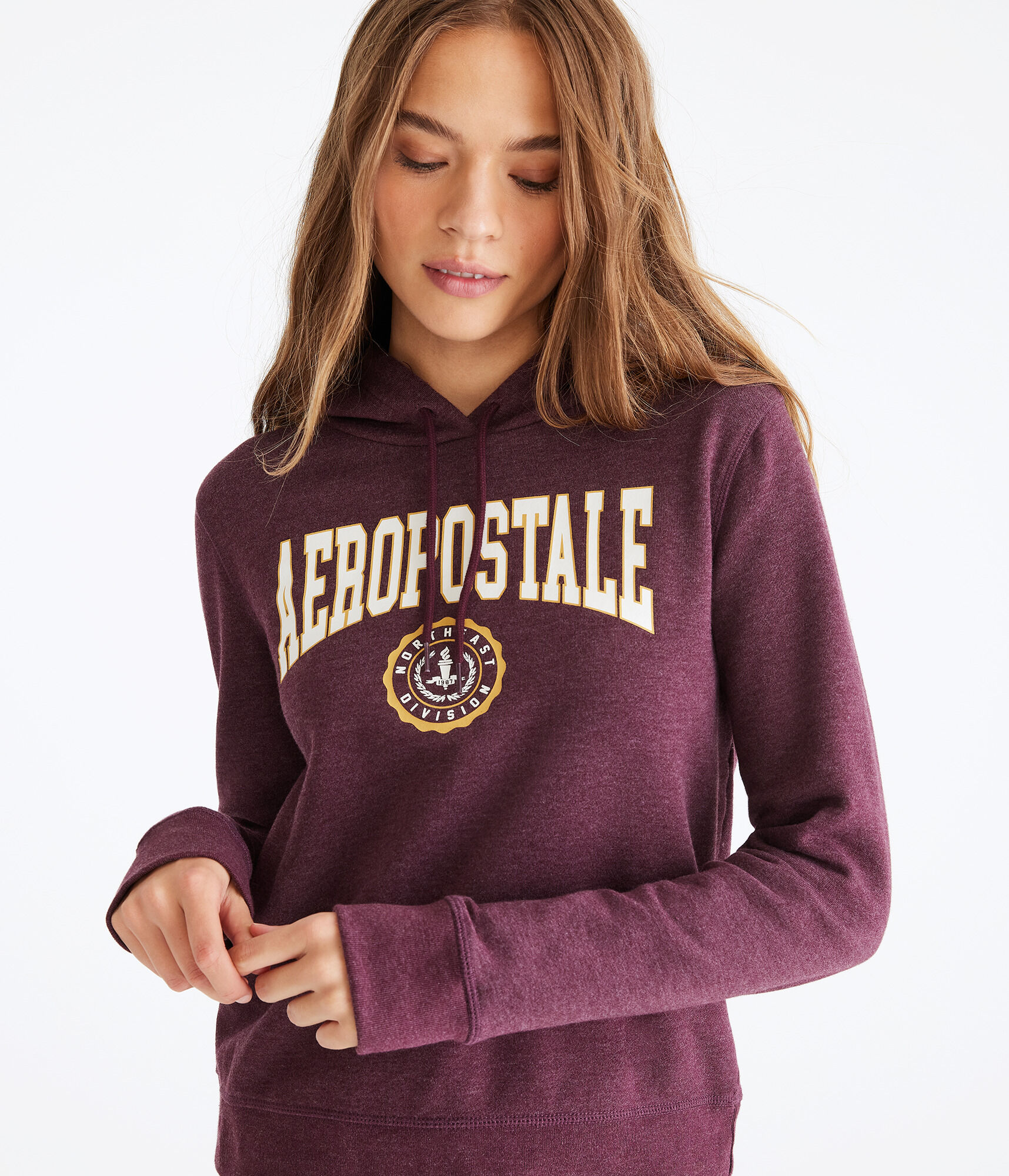 Aeropostale Northeast Crest Pullover Hoodie