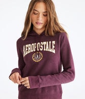 Aeropostale Northeast Crest Pullover Hoodie
