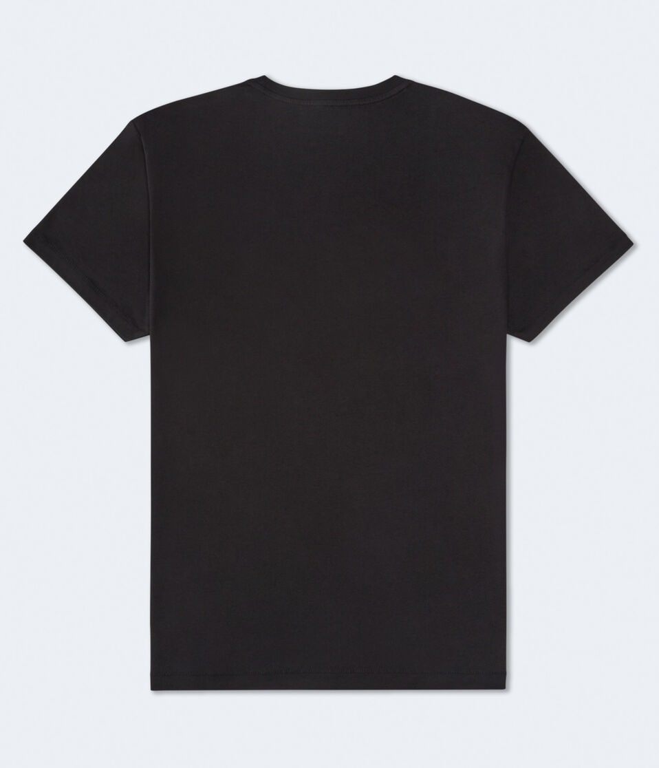 Aeropostale USA Flag Graphic Tee