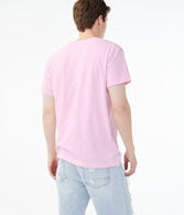 Flamingo Trio Graphic Tee