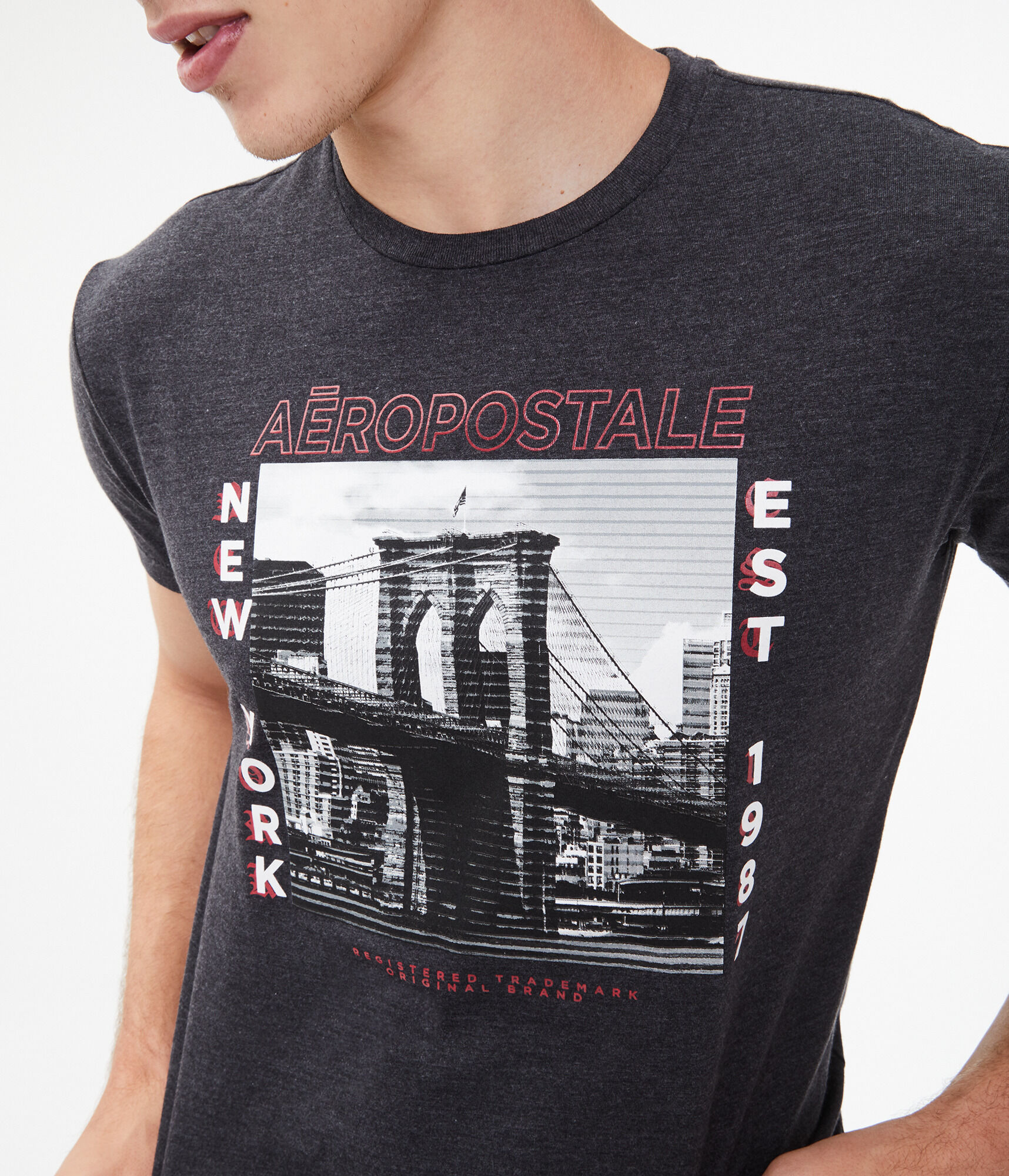 Aero New York Bridge Graphic Tee