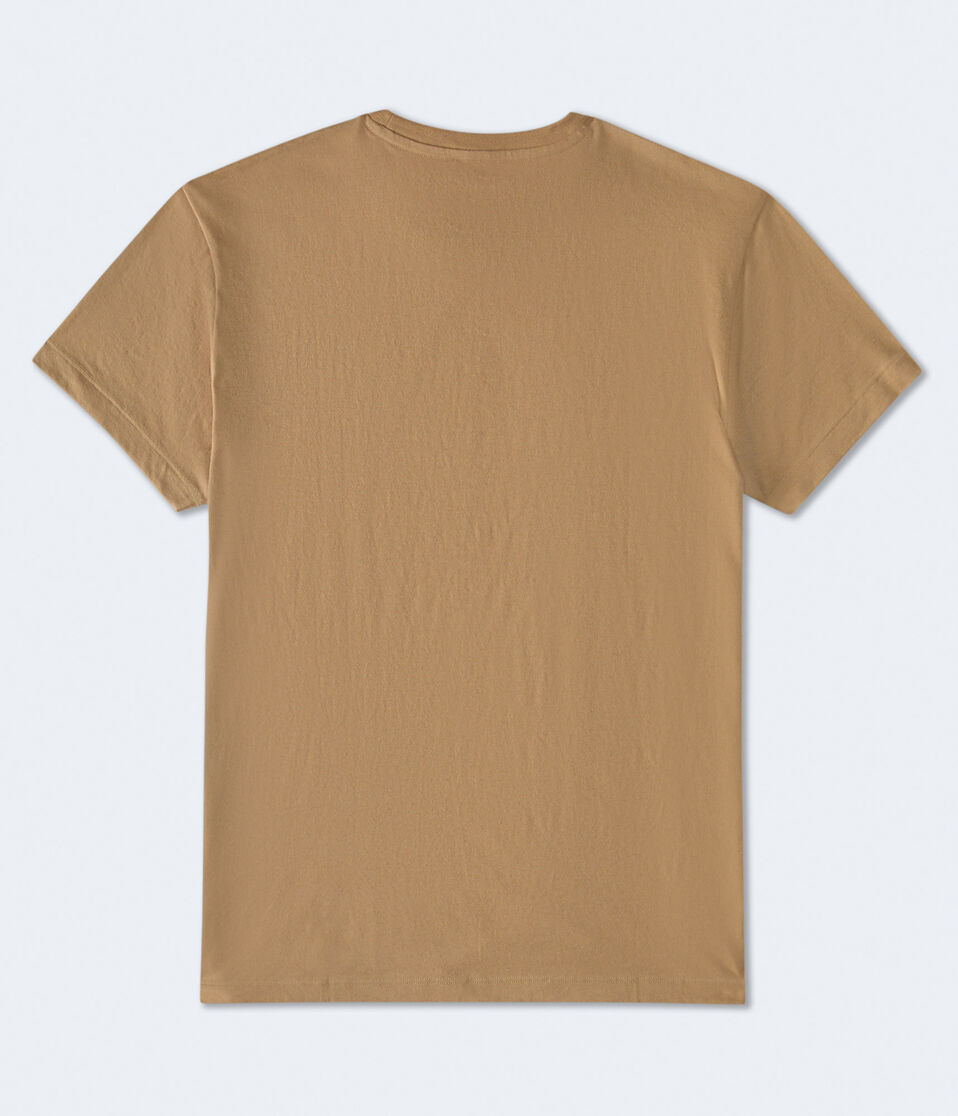 Aero 1987 Oval Flocked Graphic Tee
