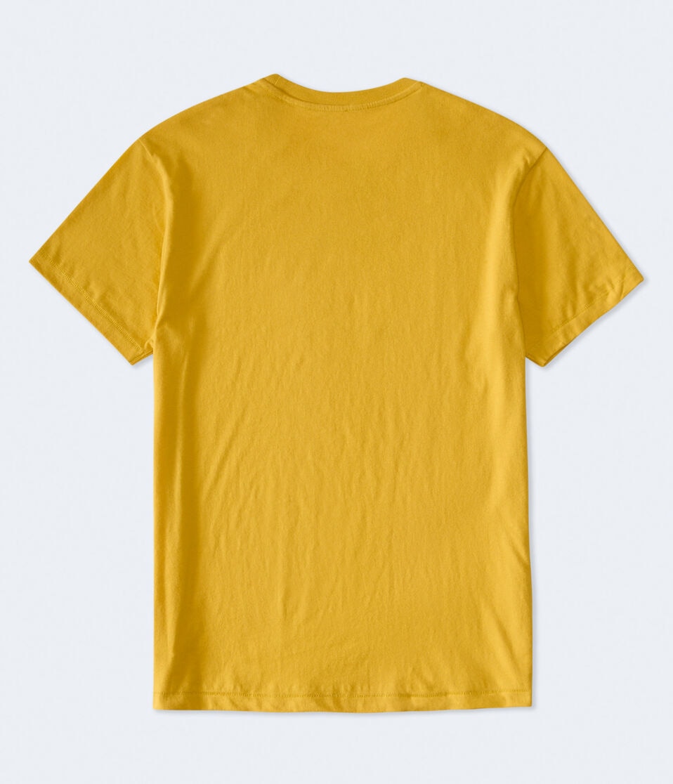 Aeropostale East Coast Appliqué Graphic Tee