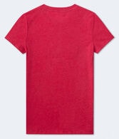 Aero New York Appliqué Graphic Tee