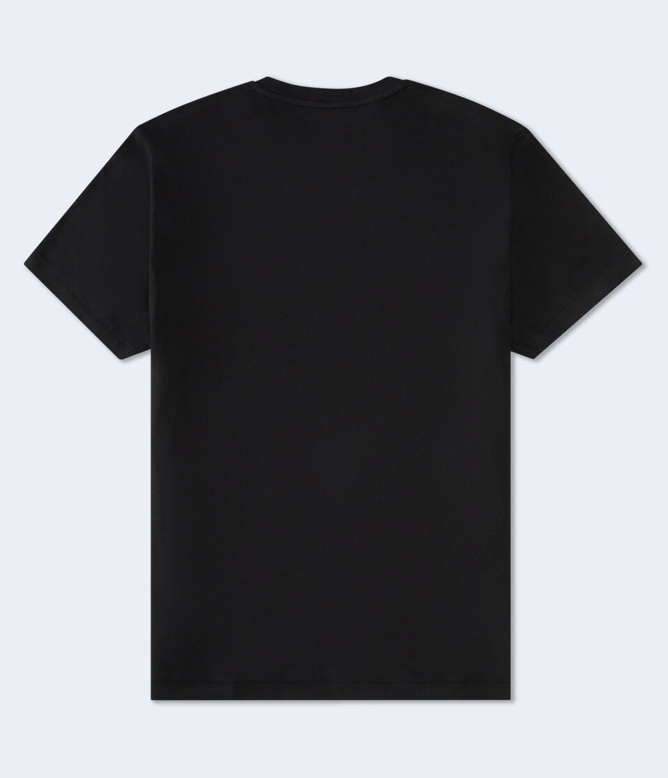 Aeropostale Statue Of Liberty Appliqué Graphic Tee
