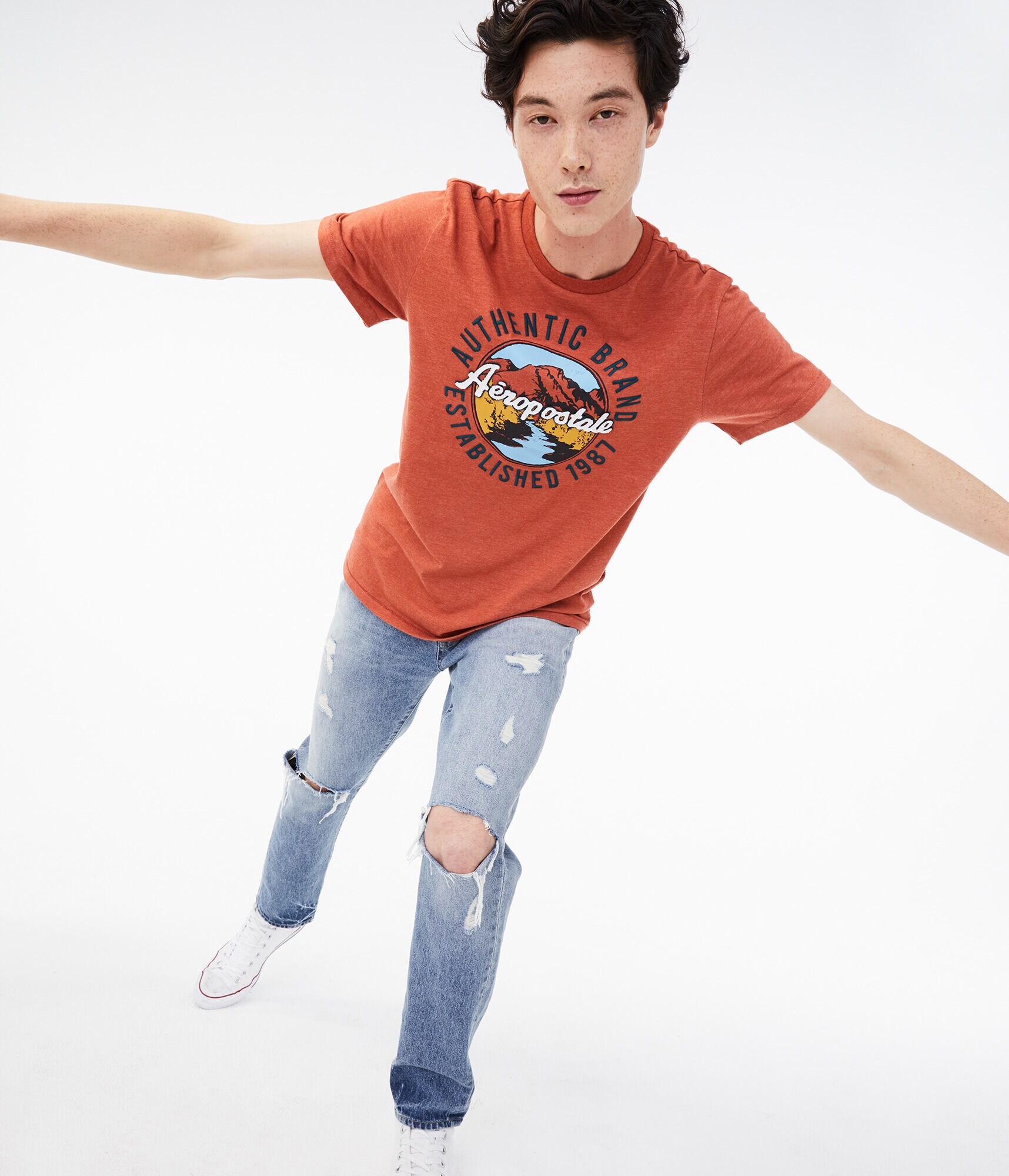 Aeropostale Mountain Scene Graphic Tee