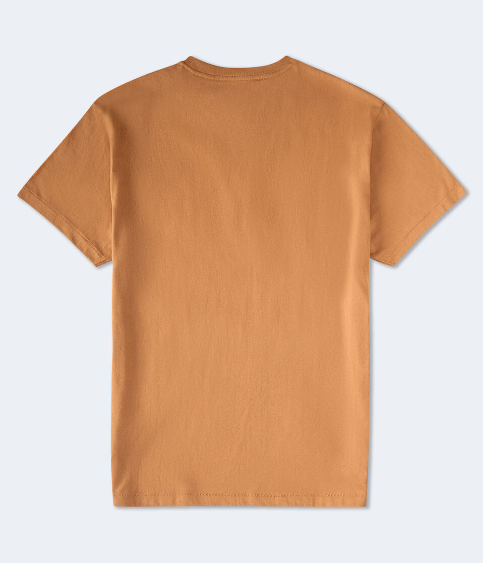 Aeropostale USA Logo Graphic Tee