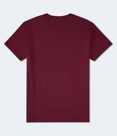 Aeropostale Authentic Logo Flocked Graphic Tee