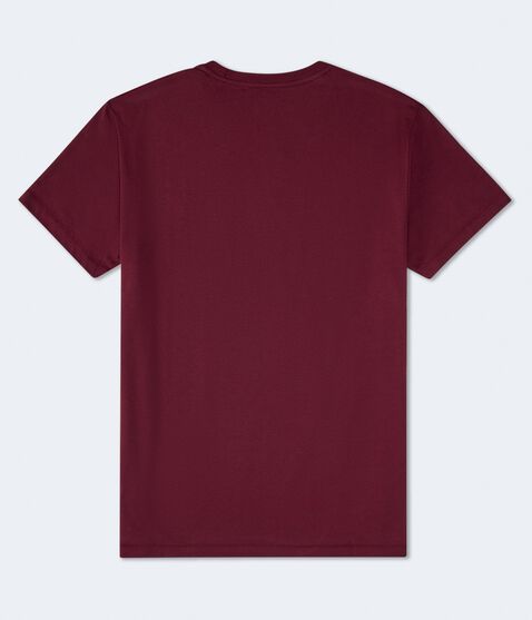Aeropostale Authentic Logo Flocked Graphic Tee Aeropostale Authentic Logo Flocked Graphic Tee