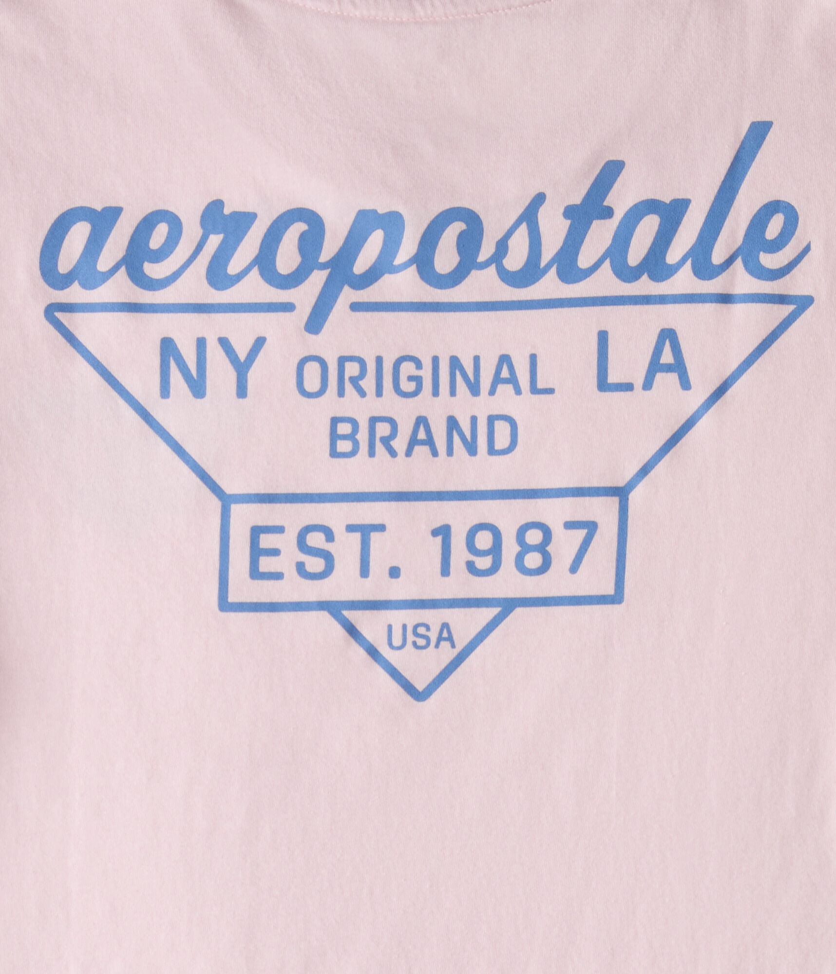 Aeropostale Triangle Logo Graphic Tee