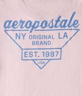Aeropostale Triangle Logo Graphic Tee