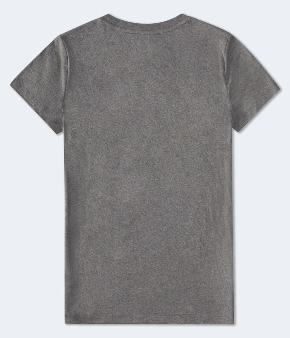 Aero 87 Rose Appliqué Graphic Tee