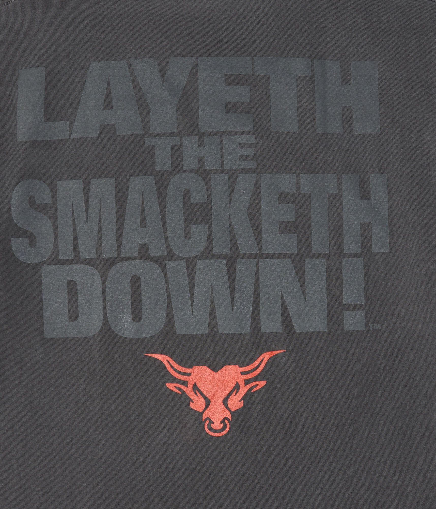 WWE The Rock Bull Logo Relaxed Graphic Tee