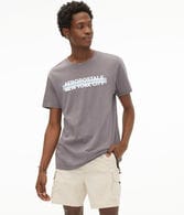 Aeropostale New York City Bar Graphic Tee