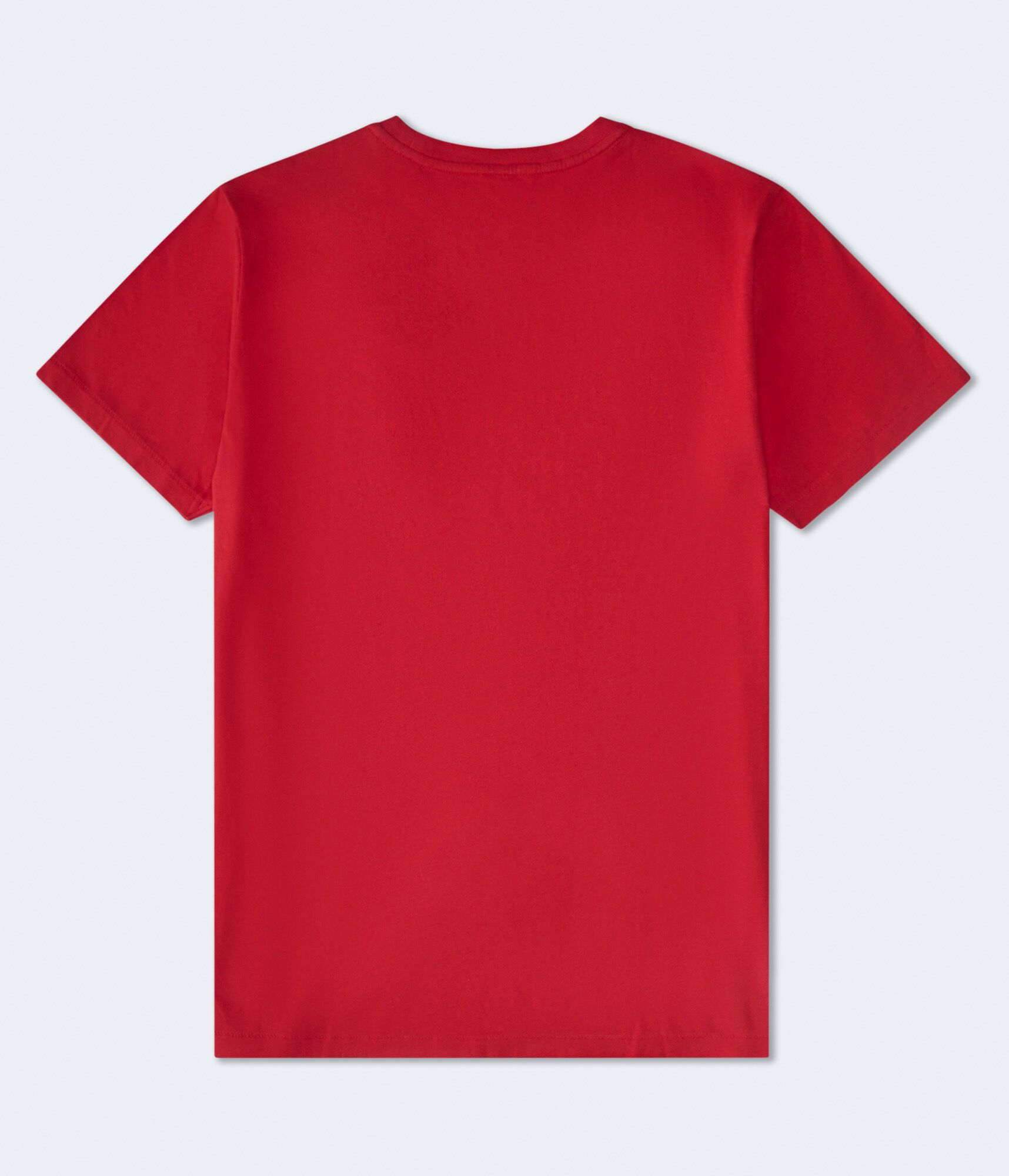 Aero USA Appliqu&eacute; Graphic Tee