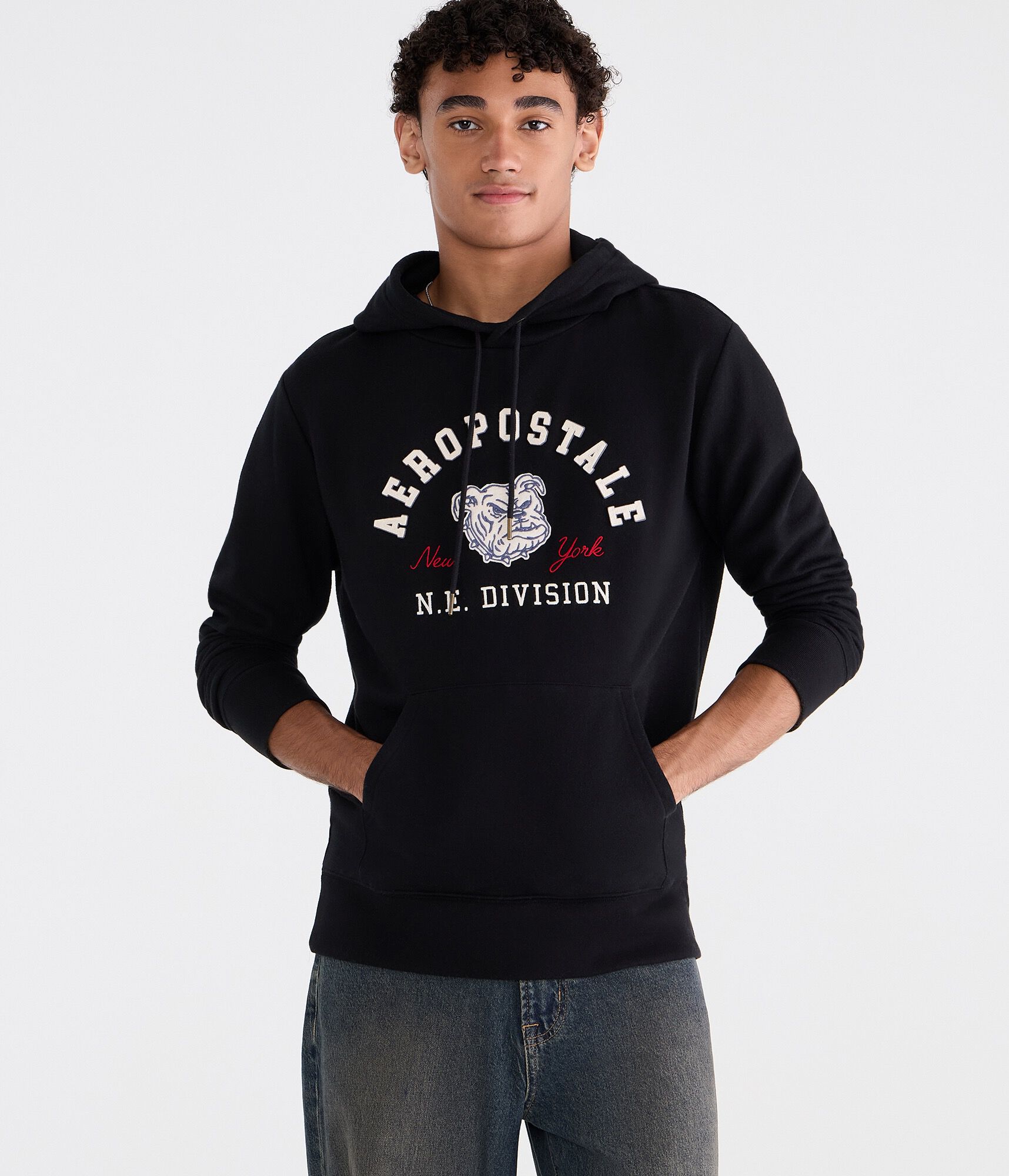 Aeropostale Bulldog Heritage Pullover Hoodie