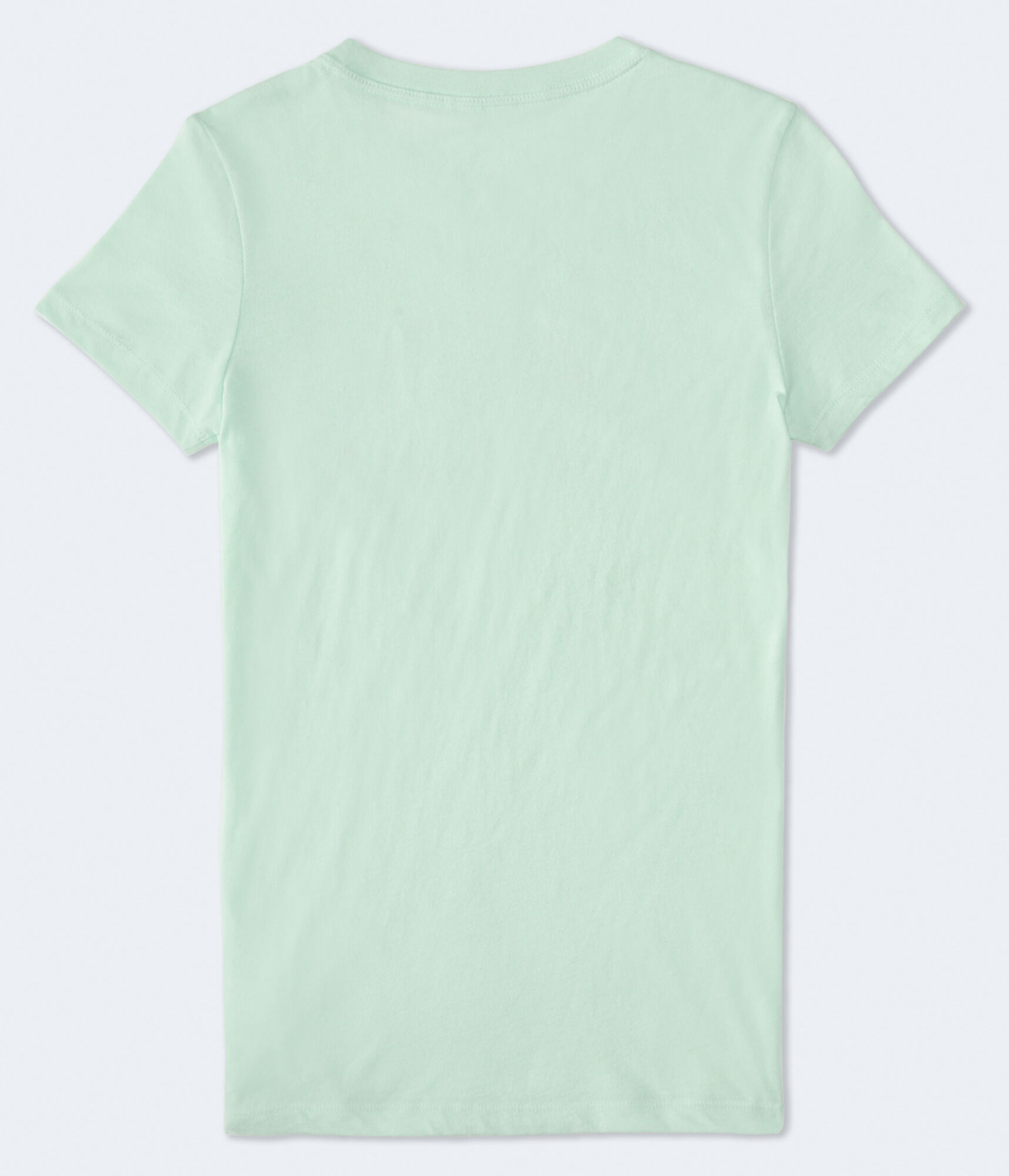 Aeropostale Crest Flocked Graphic Tee